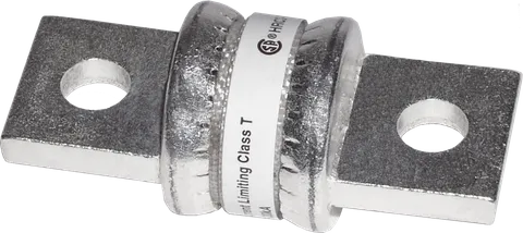 Class T Fuse 250A