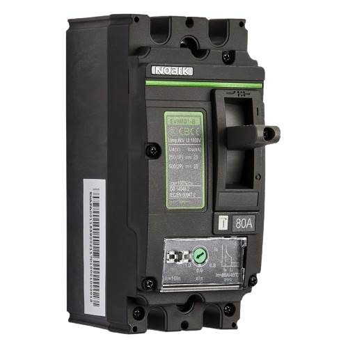 Noark 80 Amp 2 Pole Miniature Circuit Breaker MCB